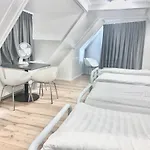 The White Tulip Albergue