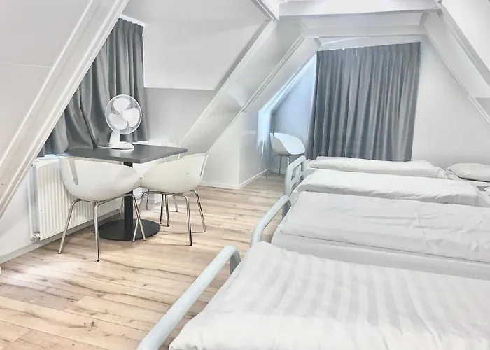 The White Tulip Ostello