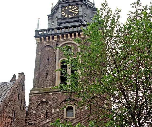 Ostello The White Tulip Amsterdam