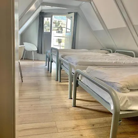 Hostel The White Tulip