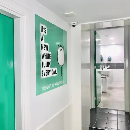 The White Tulip Hostel