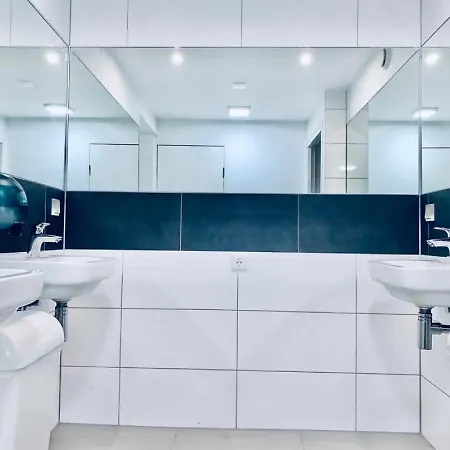 The White Tulip * Amsterdam