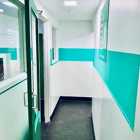 The White Tulip אכסניה