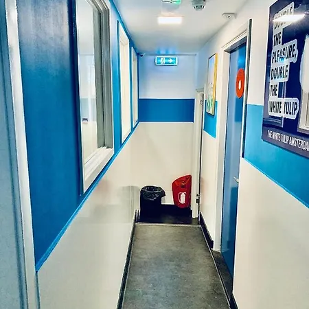 The White Tulip אכסניה אמסטרדם