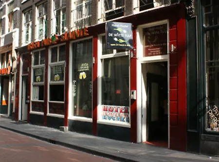 אכסניה The White Tulip *