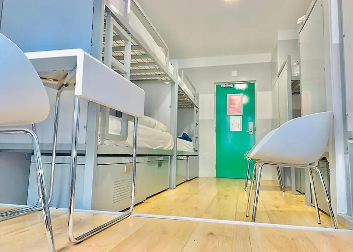 The White Tulip Hostel