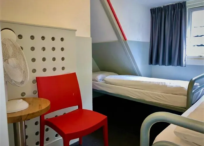 The White Tulip Hostel *