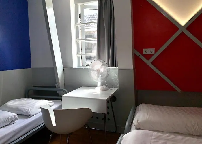 Hostel The White Tulip