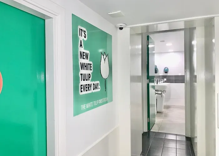 The White Tulip Hostel