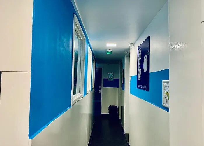 The White Tulip Amsterdam