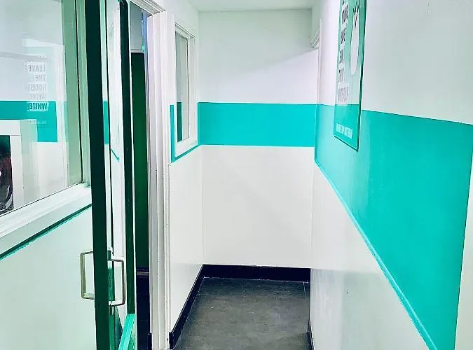 The White Tulip Hostel