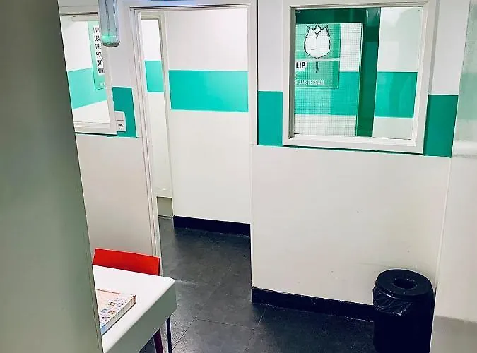 The White Tulip Hostel *