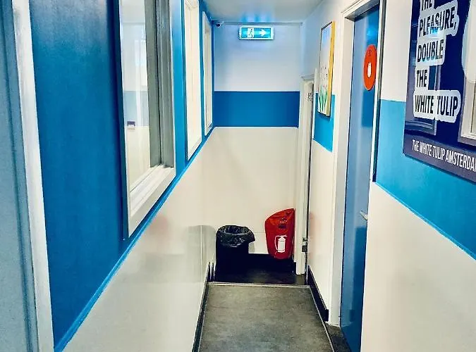 The White Tulip Hostel Amsterdam
