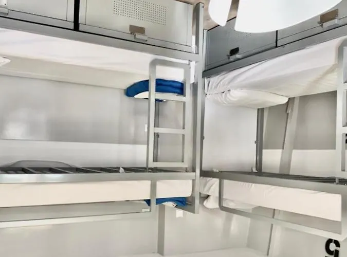 Hostel The White Tulip *