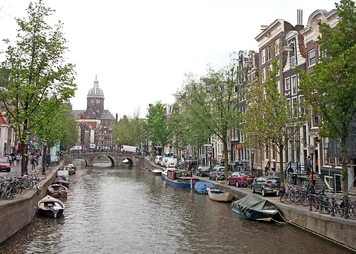 The White Tulip * Amsterdam