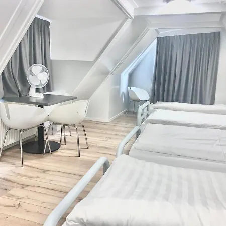 The White Tulip Albergue