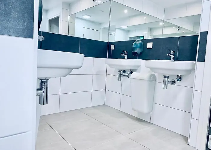 The White Tulip Auberge de jeunesse