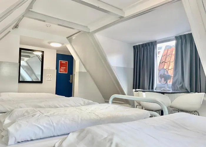 The White Tulip Auberge de jeunesse *