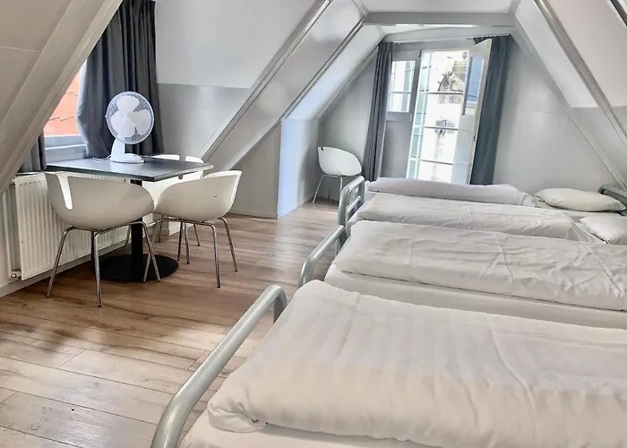 بيت شباب شباب ذا وايت توليب